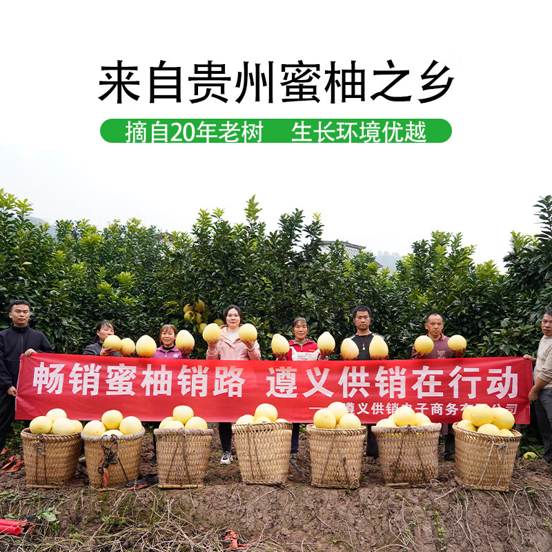 黔婆婆红心柚子 水果国产当季新鲜甜柚子蜜柚脆甜多汁水果 约4-6斤(两个柚子)