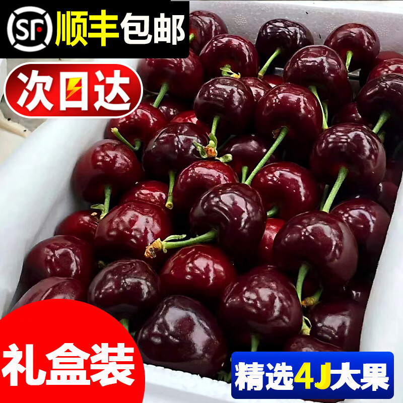 智利车厘子5斤进口大樱桃新鲜水果当季整箱礼盒顺丰4J3J5孕妇 0g(净重)  j26mm(含)-28mm(不含)
