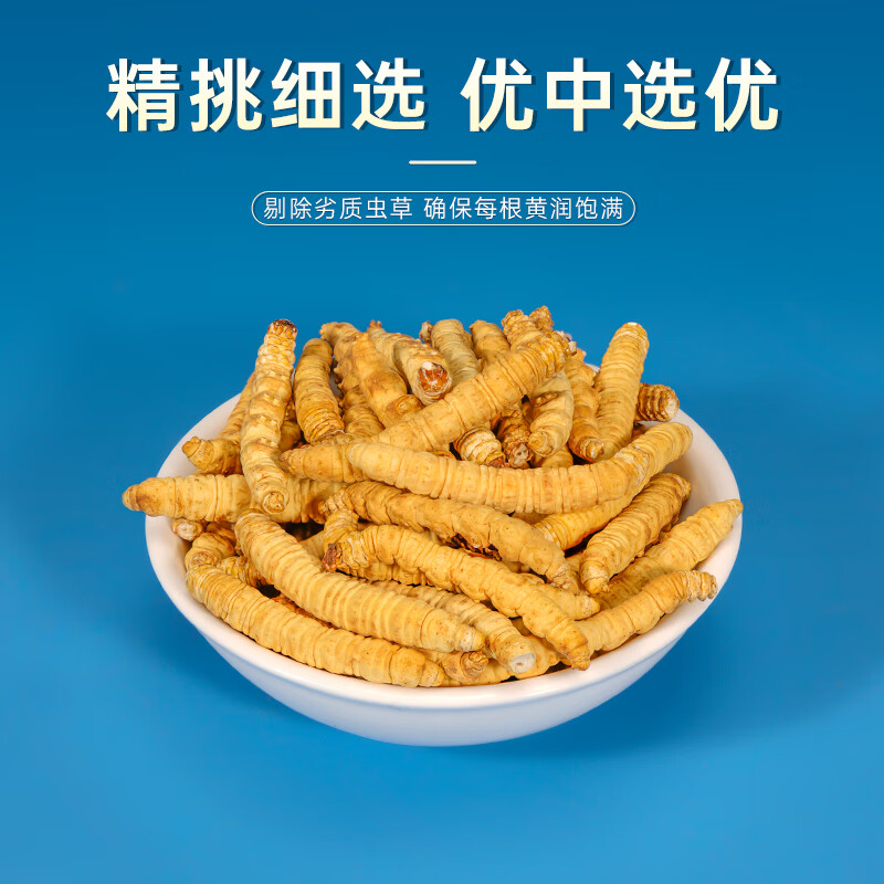 藏汐堂 冬虫夏草 新干头期纯肉节虫草 实惠家庭滋补品 大号纯肉节 20g*1盒 【送1克】