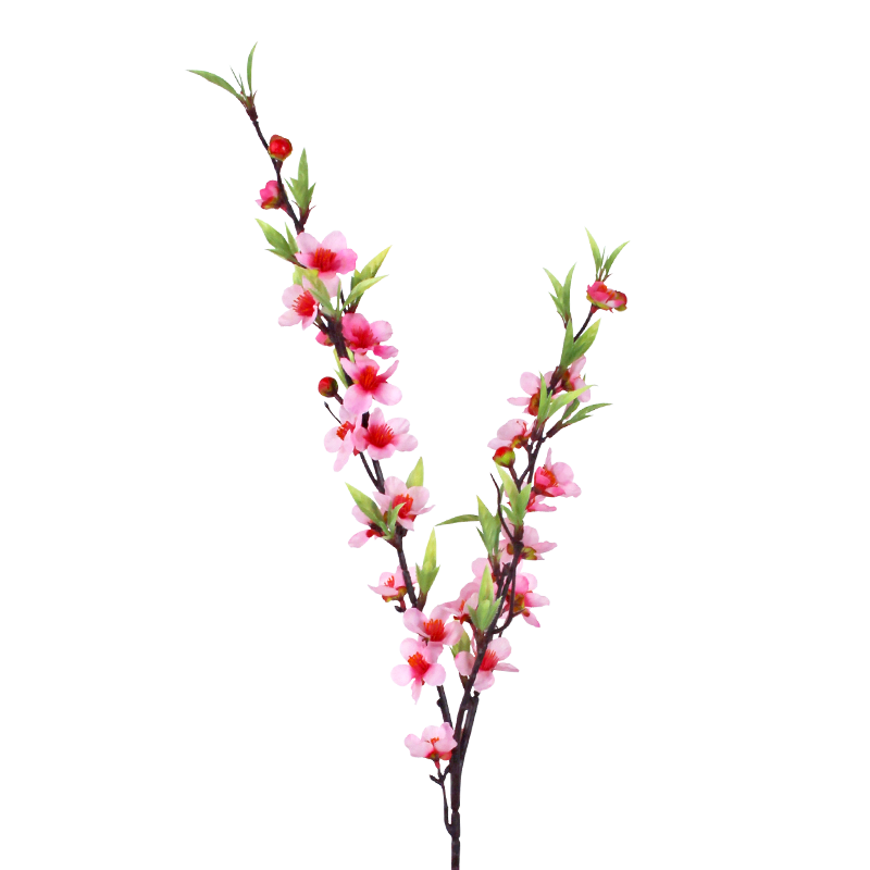 ���������һ��ߵ�װ�η���ٻ�������������װ��Ʒ�������ܷ�ɫ3֧20094 44.9Ԫ