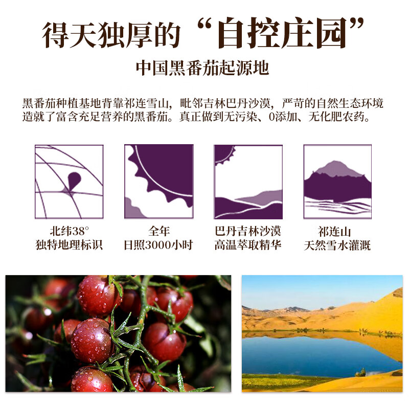 大漠紫光【高档礼品 送长辈优选】大漠紫光黑番茄浓缩原浆50ml*10/盒 单盒尝鲜装50ml*10支/盒