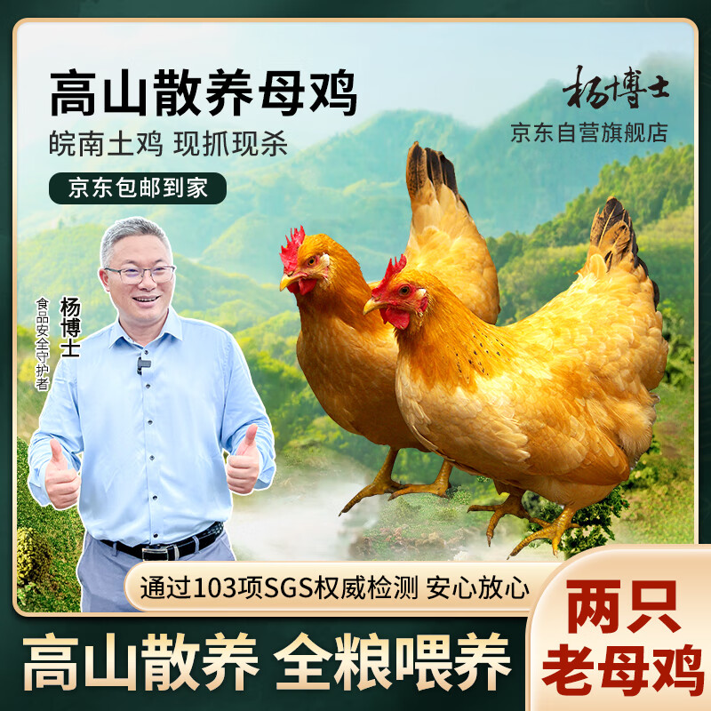 杨博士老母鸡农家土鸡走地鸡散养1年单只净重1.8-斤以上 2只鸡源头直发