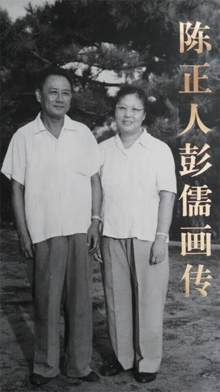 正版 陈正人彭儒画传 陈瑞生 中共党史出版社