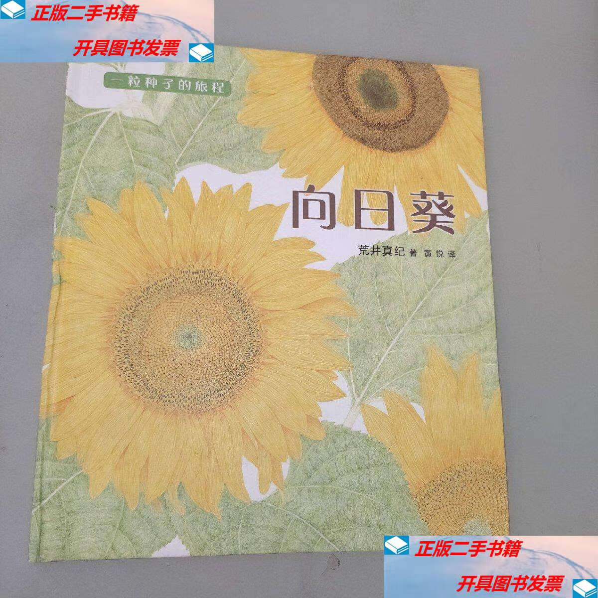 【二手9成新】向日葵 /作者 不详