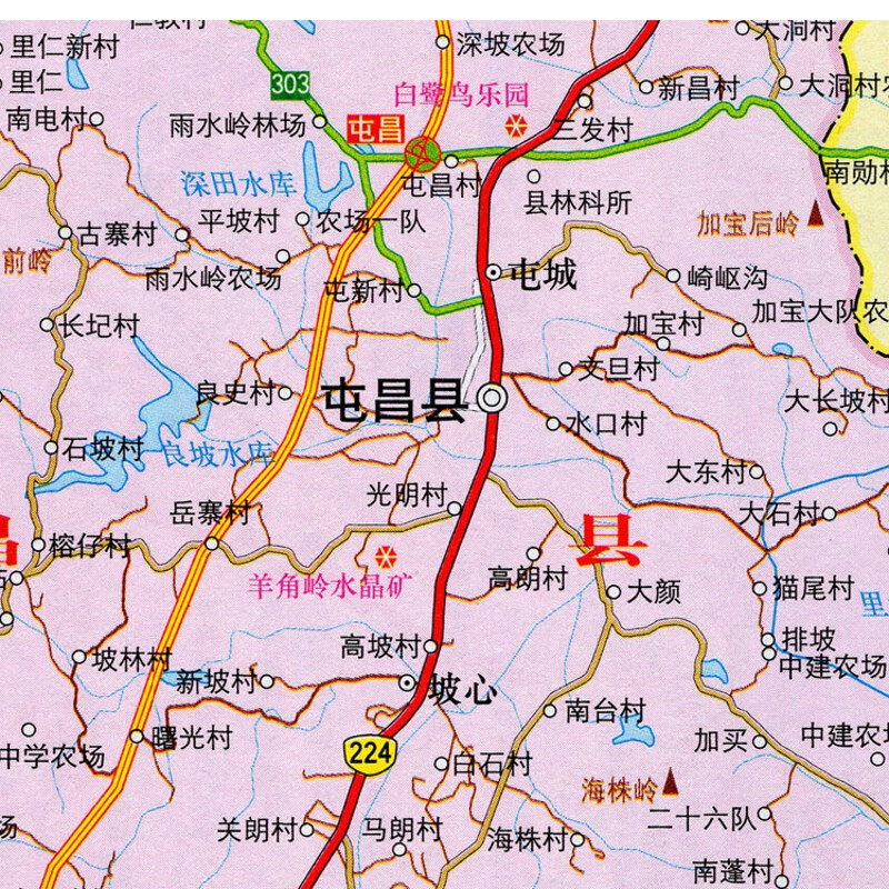 屯昌经济活力观察：金荣商行引领商贸新格局