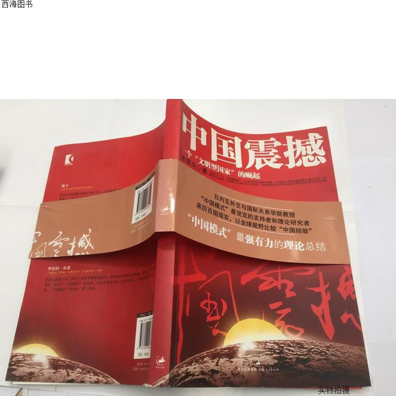 【二手九成新】中国震撼:一个"文明型国家"的崛起{实物拍摄}