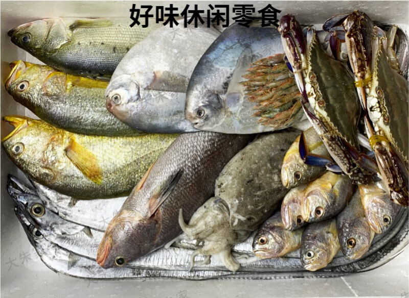 特产优联舟山象山海鲜海鲜礼盒鲜活非冷冻冰鲜春节过年年货礼包东海