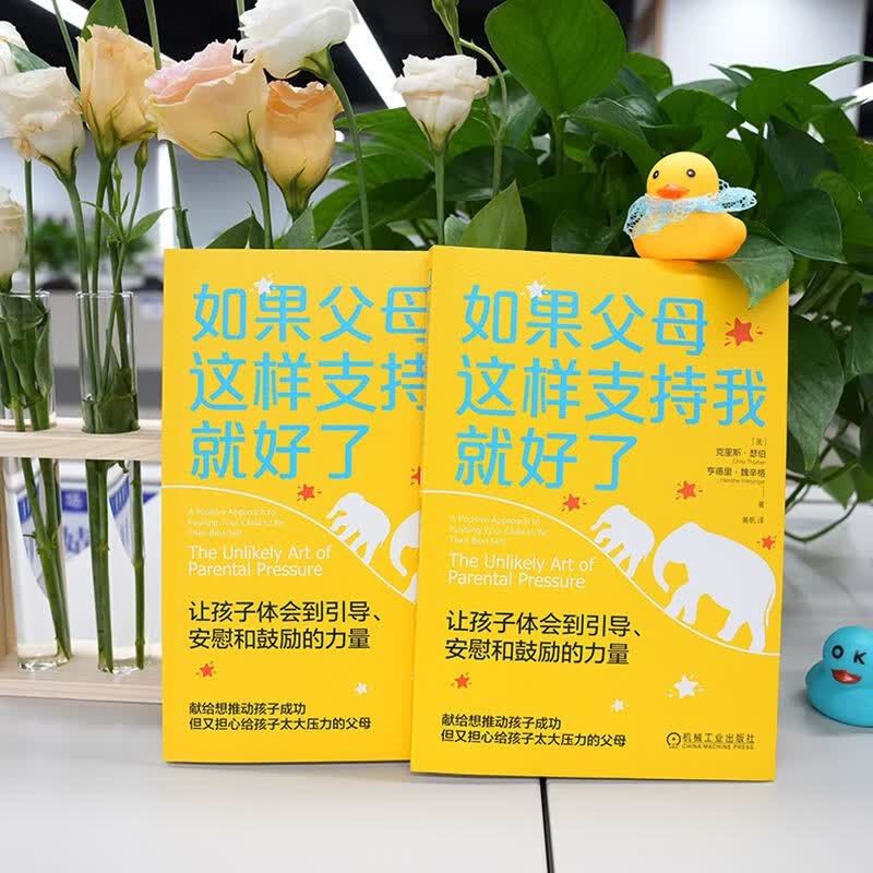 如果父母这样支持我就好了：让孩子体会到引导、安慰和鼓励的力量详情图