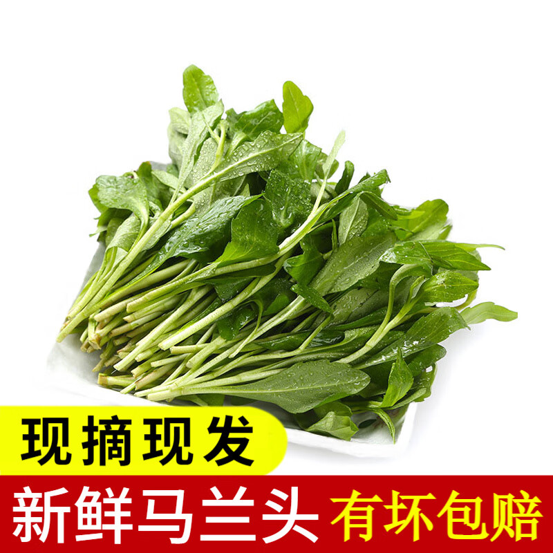顺丰 马兰头  新鲜蔬菜食用鸡儿肠 红梗菜凉拌食材 2斤