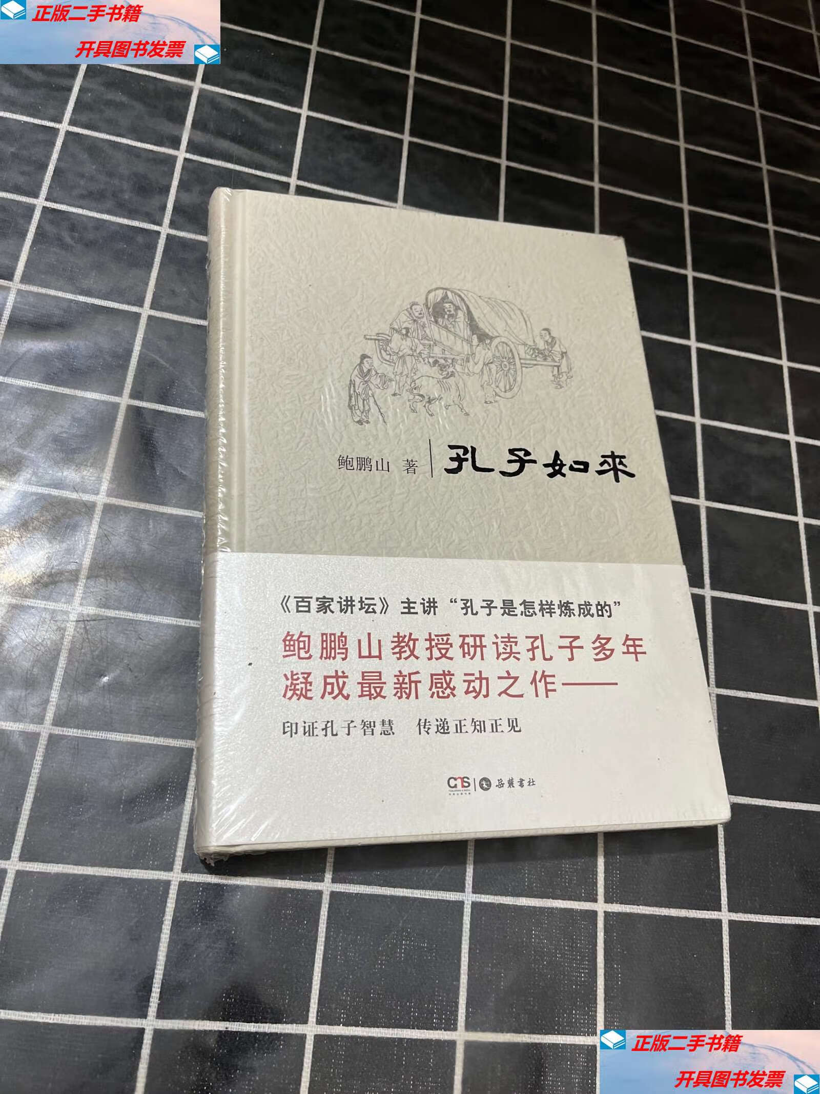 【二手9成新】孔子如来 /鲍鹏山 / 岳麓书社