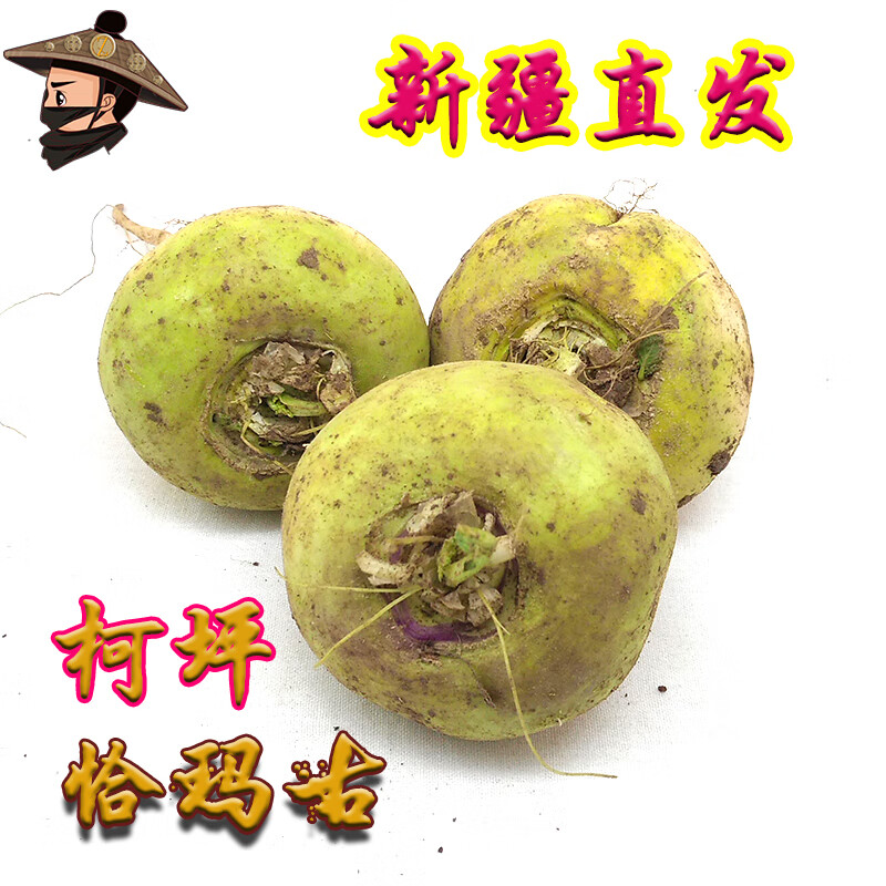 嫩个 新疆柯坪县恰玛古平衡新鲜蔬菜萝卜形生鲜5斤
