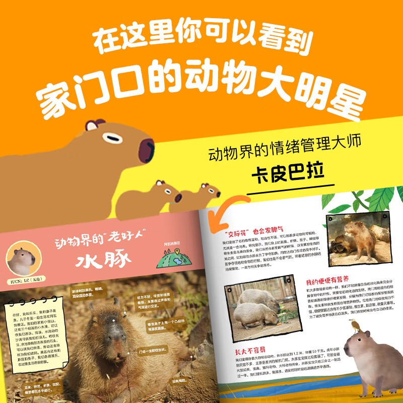 随身携带的动物园（全6册 北京 上海 南京 广州 成都 西宁）【5-12岁】 齐新章等 著详情图