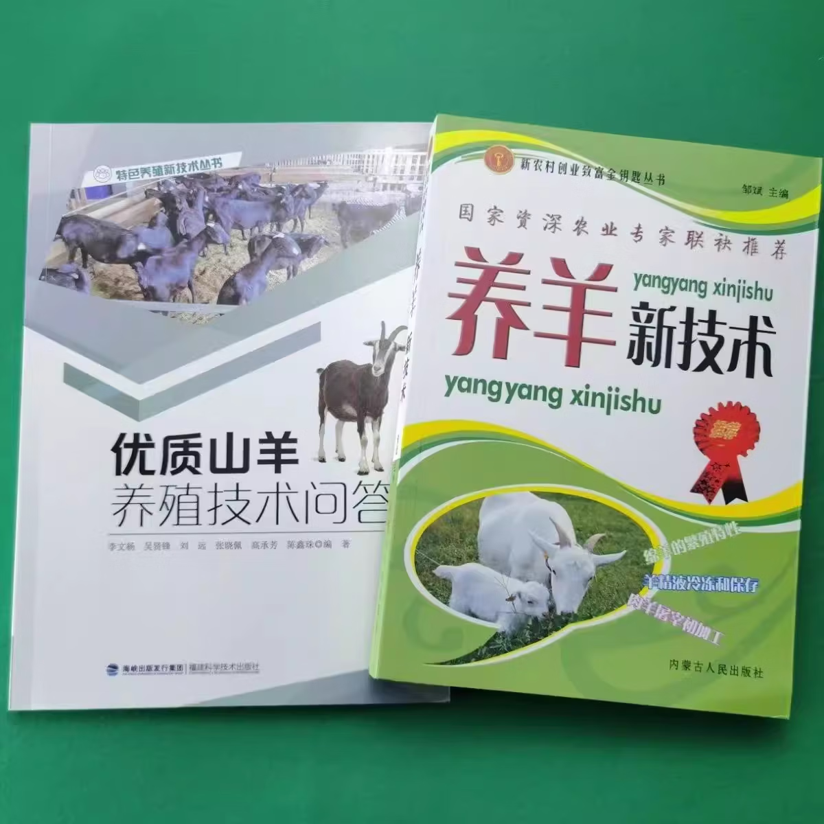 全2册 优质山羊养殖技术问答 养羊新技术 养羊技术大全书籍羊病防治