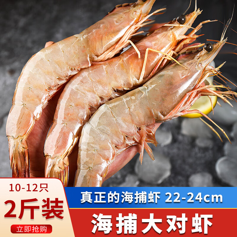 海宏盈大对虾 1000g大虾明虾海捕虾竹节虾海鲜深海捕捞虾类生鲜 （10-12只）22-24cm