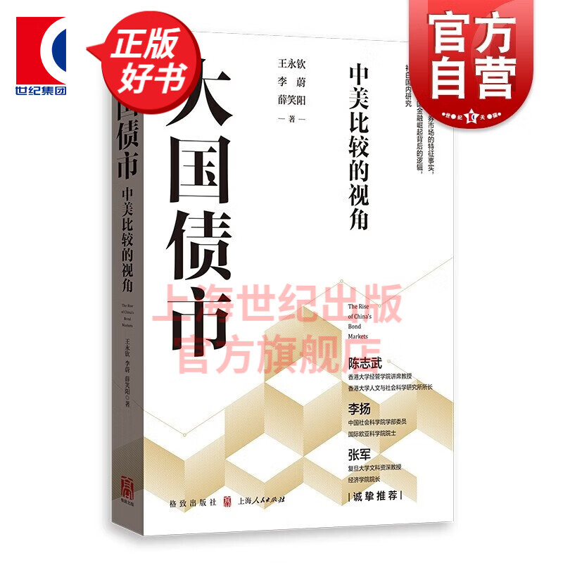 大国债市:中美比较的视角 全面刻画债券市场特征事实深入分析大国金融崛起背后的逻辑 王永钦李蔚薛笑阳著作 陈志武李扬张军诚挚推荐 格致出版社