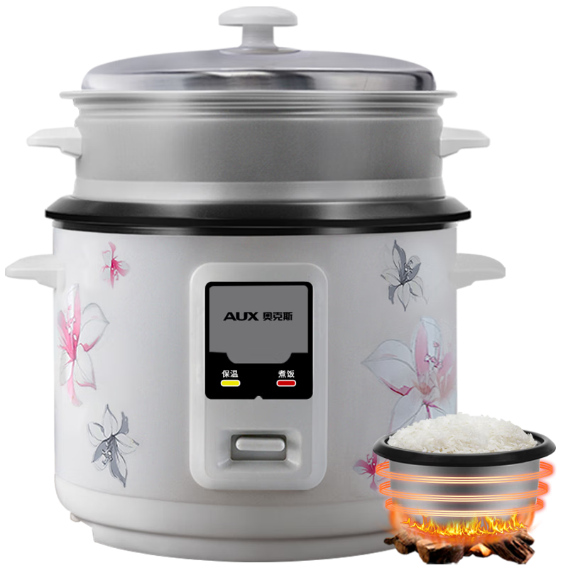 ���ڲ������¿�˹��AUX���緹��6L�緹�� ֱ��ʽ������ ������ ����С�緹��WZA-0602