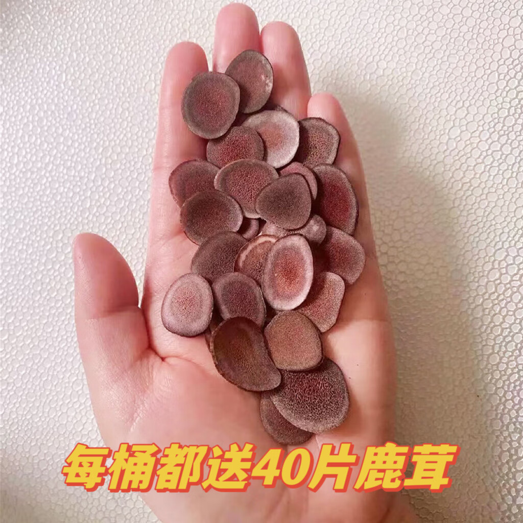 沛淞泉纯粮食泡药酒专用白酒东北小烧高粱酒桶装高度散装白酒10斤大桶 60度 5L 1桶 3年粮食原浆【高度泡酒优选】