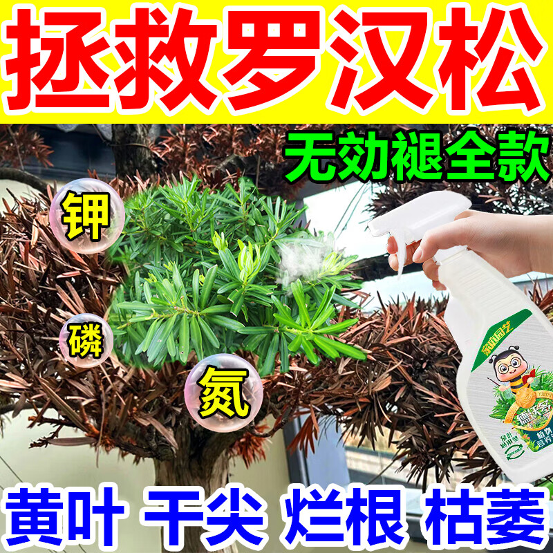 罗汉松专用肥喜酸植物叶面喷施营养液防黄落枯叶烂黑根腐通用肥料 1瓶装 京东折扣/优惠券