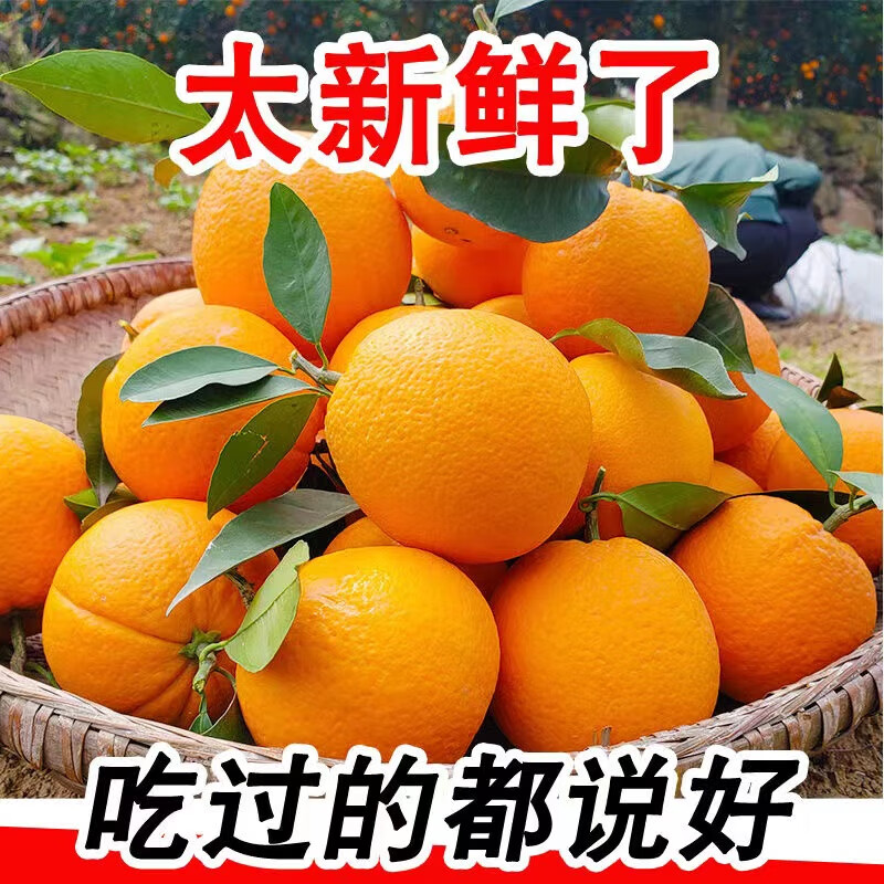 三峡红果缘秭归中华红脐橙血橙 当季新鲜孕妇水果湖北甜橙整箱酸甜大果 净重2斤55mm尝鲜装