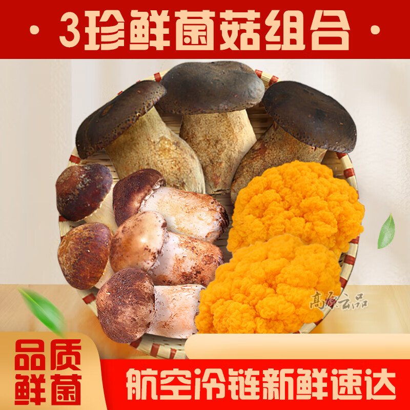 高原云品【鲜菌菇蔬菜包】赤松茸 黑牛肝菌 金耳 三种鲜菌组合装火锅