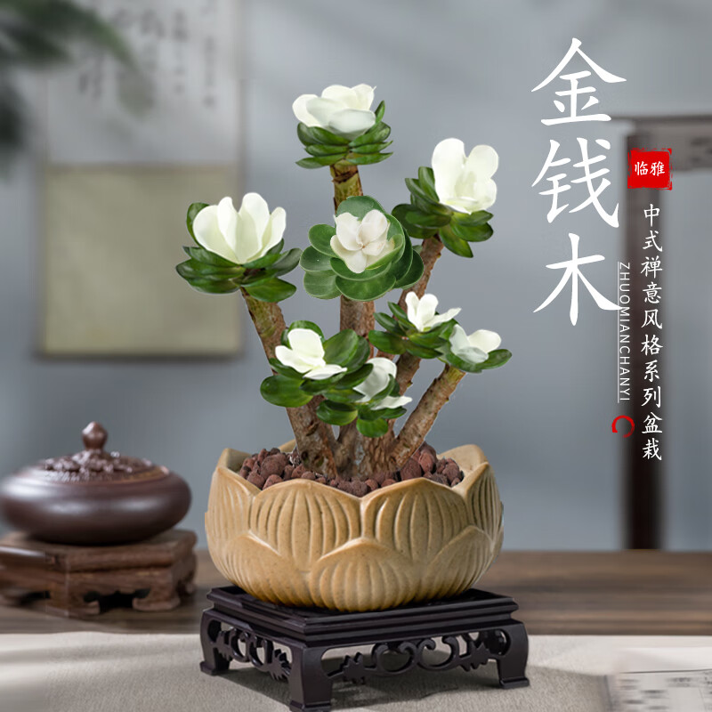 ���Ž�Ǯľ������׮������ֲ��칫����������������+����Դͷֱ�� 