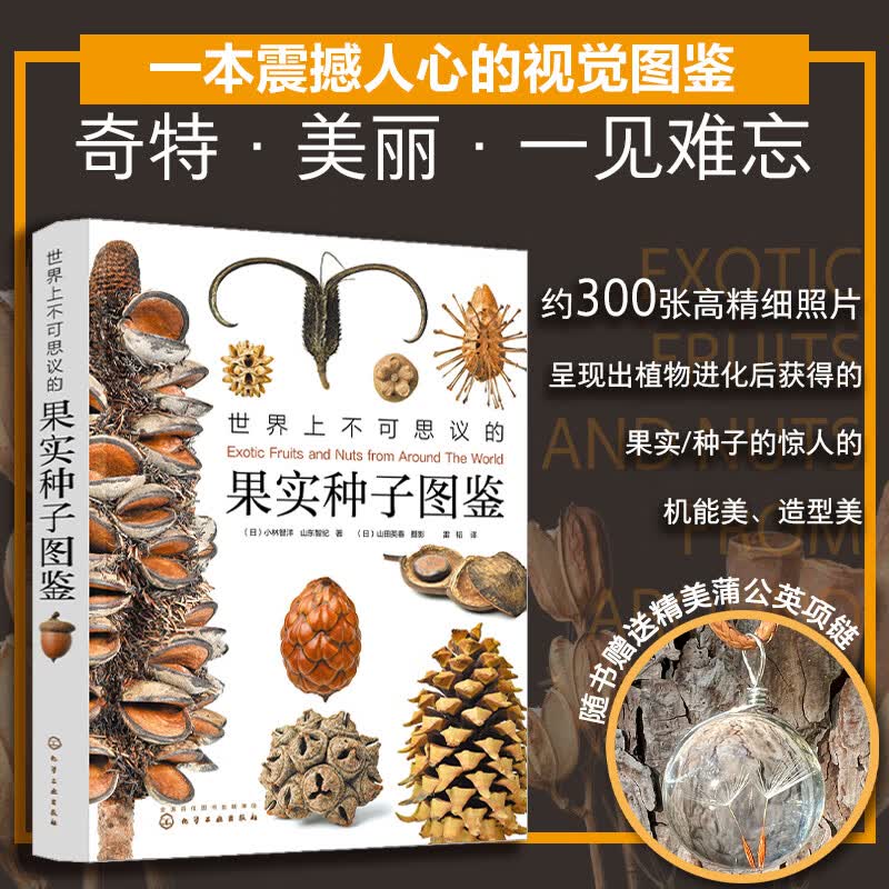 300张高精细果实图片 青少年课外阅读自然科普书籍 画报级亚光铜版纸