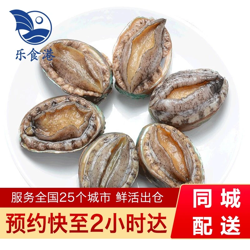 乐食港【活鲜】鲜活鲍鱼 500g（6头）贝类 海鲜水产