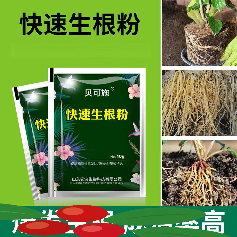 贝可施快速生根粉扦插育苗植物通用生根剂液树移栽发根粉 10g小袋生根