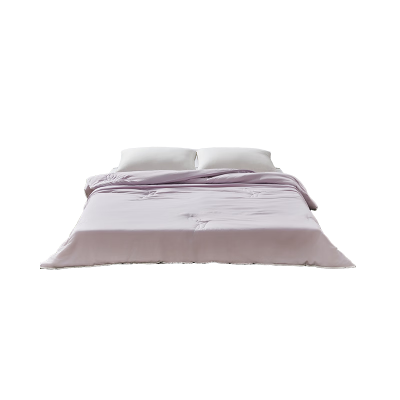 一默被子春秋被四季通用糯绵春被宿舍床上单人双人被芯可水洗机洗被子 浅藤紫(郁金香款) 150*200cm