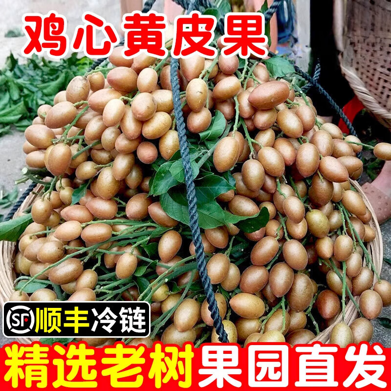 【顺丰快递】广东鸡心黄皮果新鲜黄皮现摘水果当季整箱果园直发 2斤
