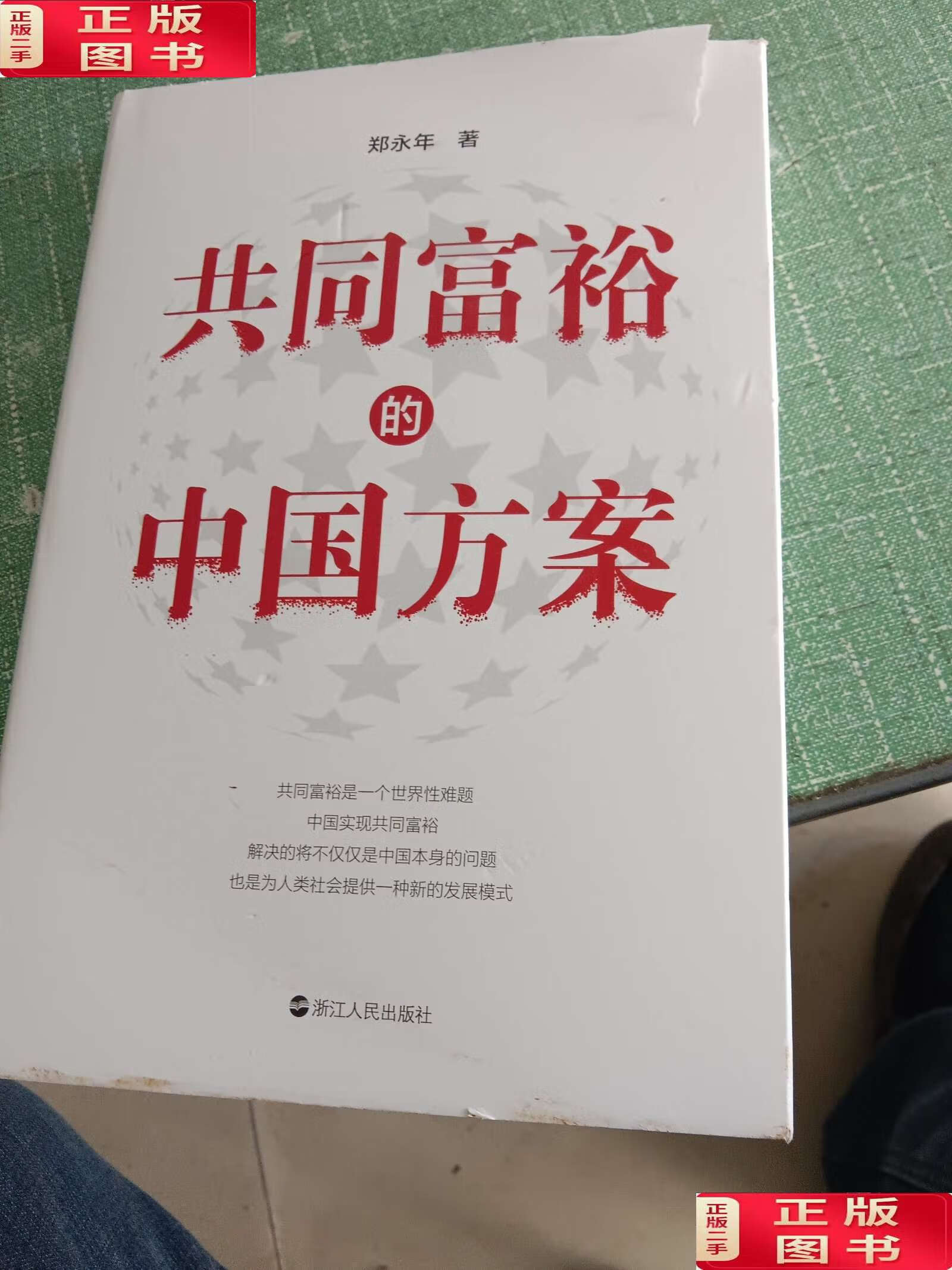 【二手9成新】共同富裕的中国方案 /郑永年 浙江人民