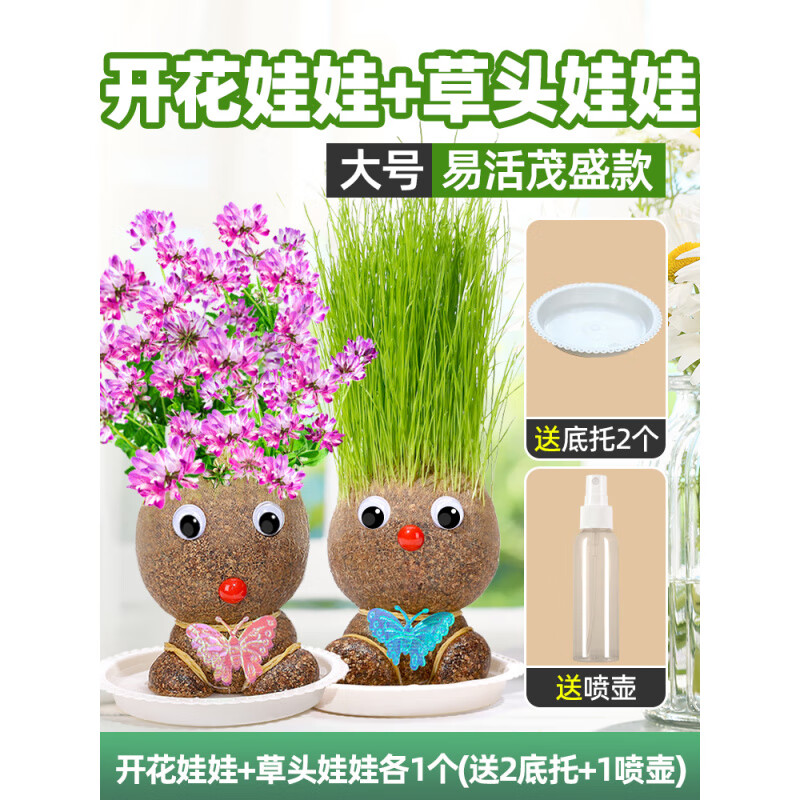 水生田开花娃娃长草头发种草头儿童种植小盆栽头上植物观察绿植水培室内 开花娃娃1个+草头娃娃1个(送1喷壶+2底托) 不含盆