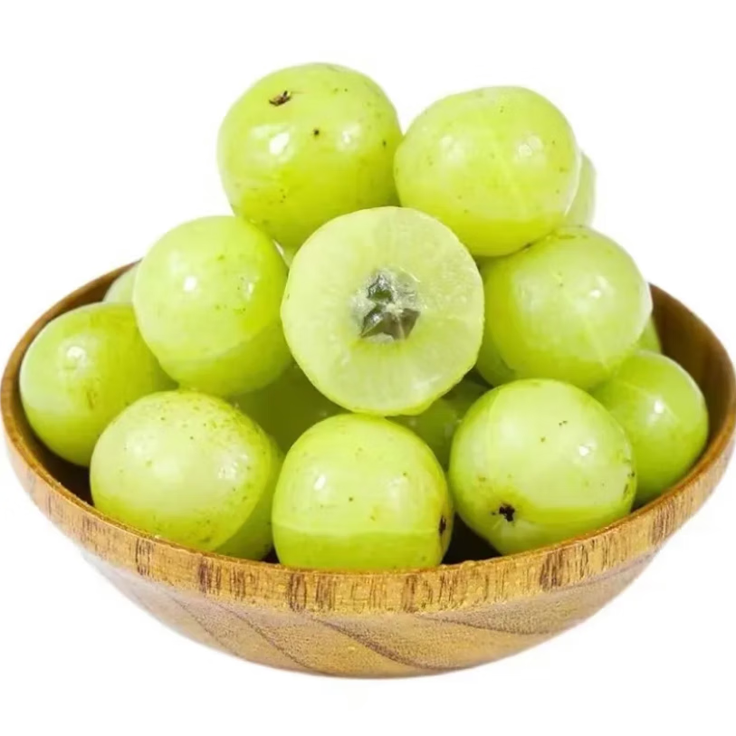 青尊园油甘果现摘新鲜孕妇酸水果牛甘果油甘子余甘果腌制滇橄榄 1斤