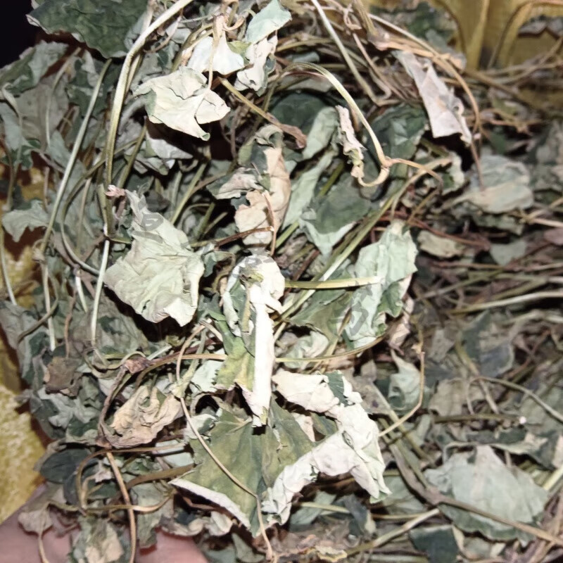 贵州裸蒴白侧耳根中药材新鲜百折耳根三白草白色鱼腥草 干货一斤