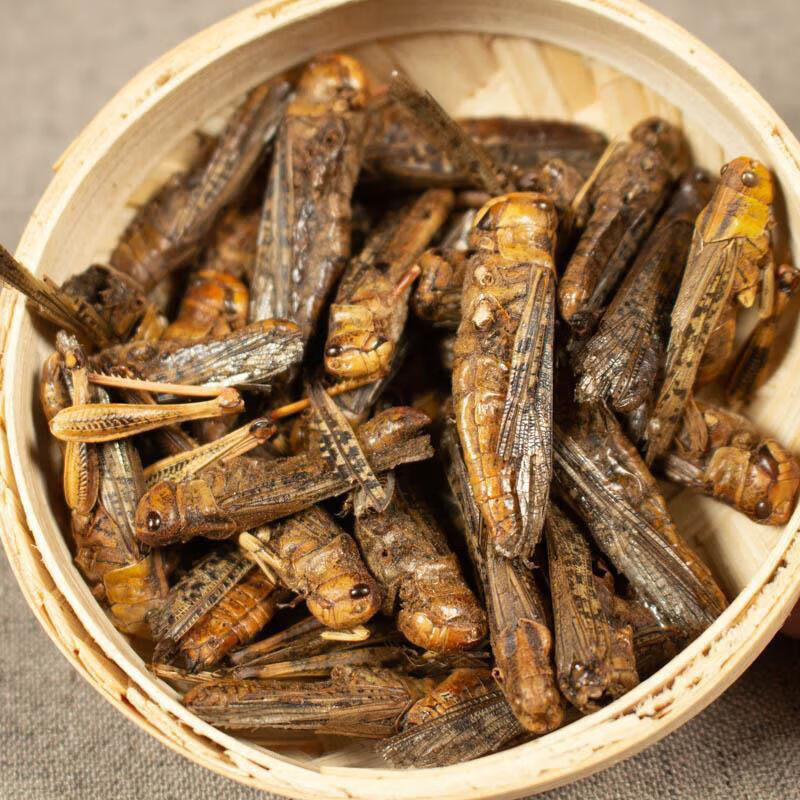 同仁堂 蚂蚱干 中药材 蝗虫 蚱蜢 当季新货 蝗虫干 鸟食鸟饲料 50克