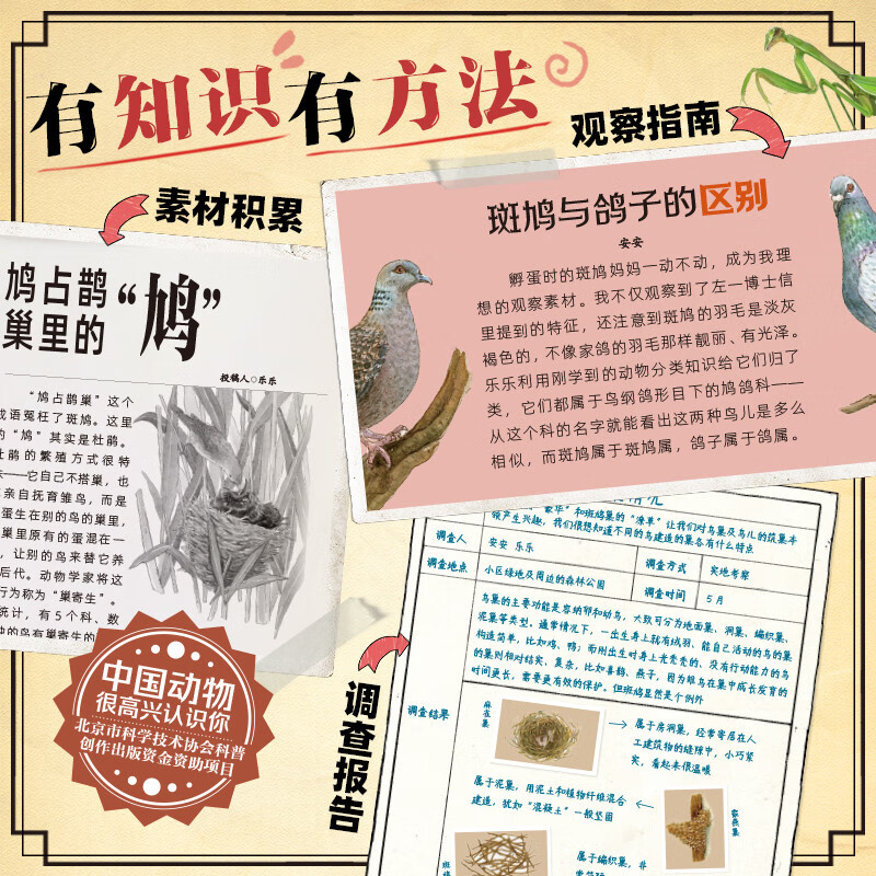 中国动物 很高兴认识你（全4册）（以“中国动物”为主题，专为中国儿童打造的自然百科通识绘本）详情图