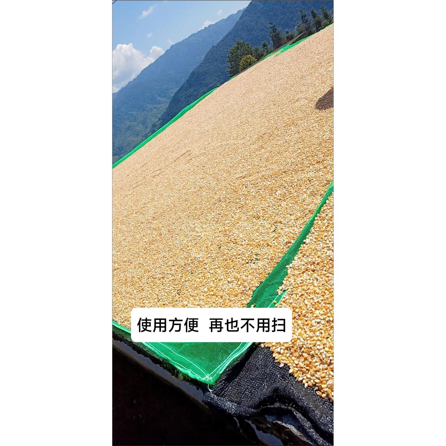 山头林村晒稻谷的布 晒粮神器晒稻谷花生黄豆各种农作物网布晾晒方便