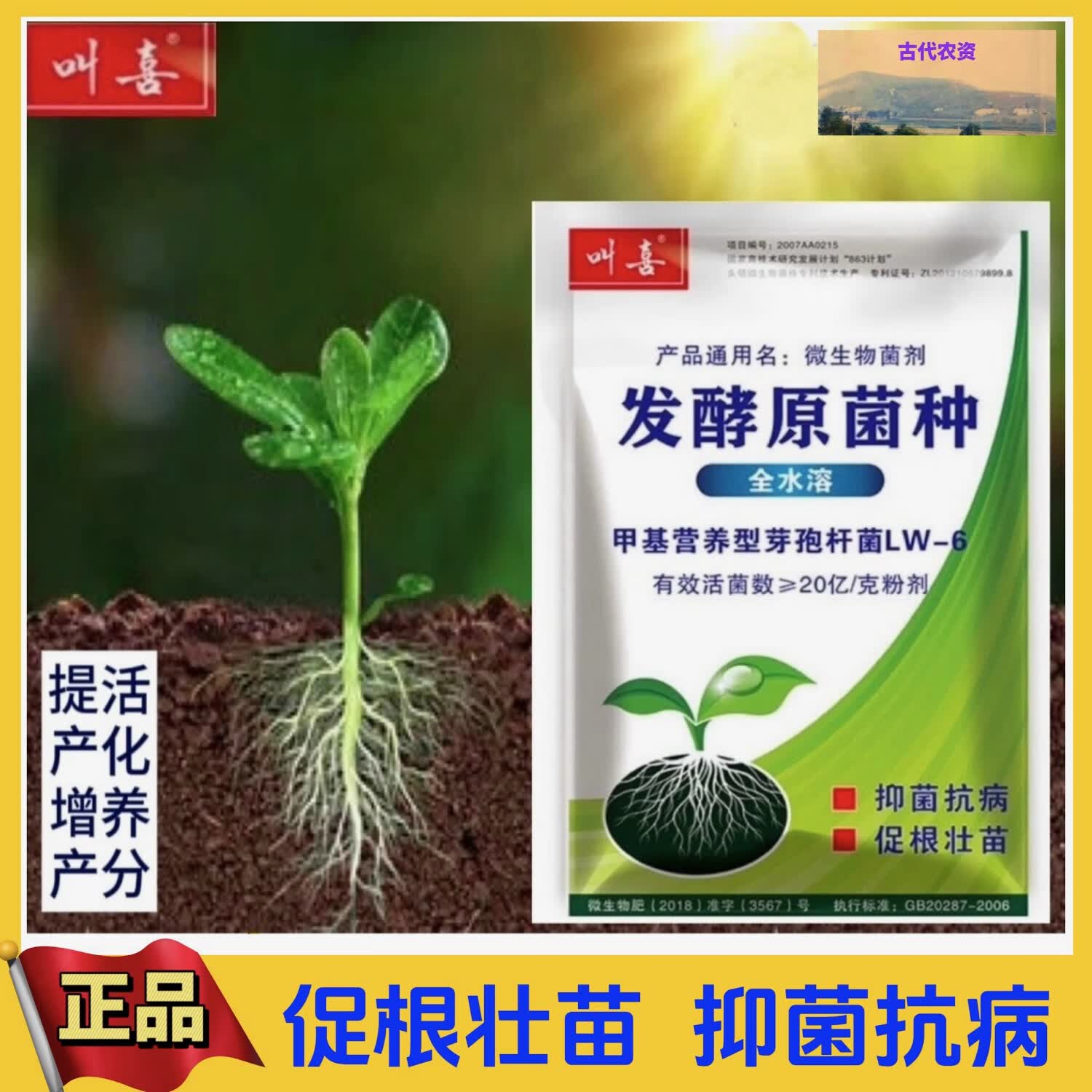 叫喜发酵原菌种20亿/克活性菌生根壮苗抑菌抗病提质增产叶面肥 2公斤4