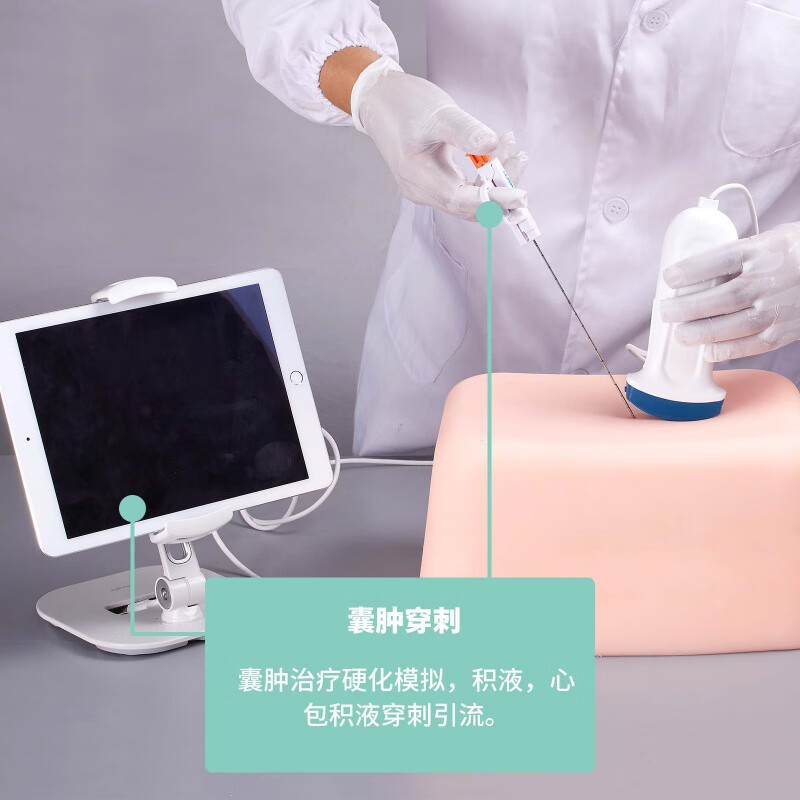 【jd健康】超声穿刺模型腹部多肿块多深度积液穿刺活检操作练习介入