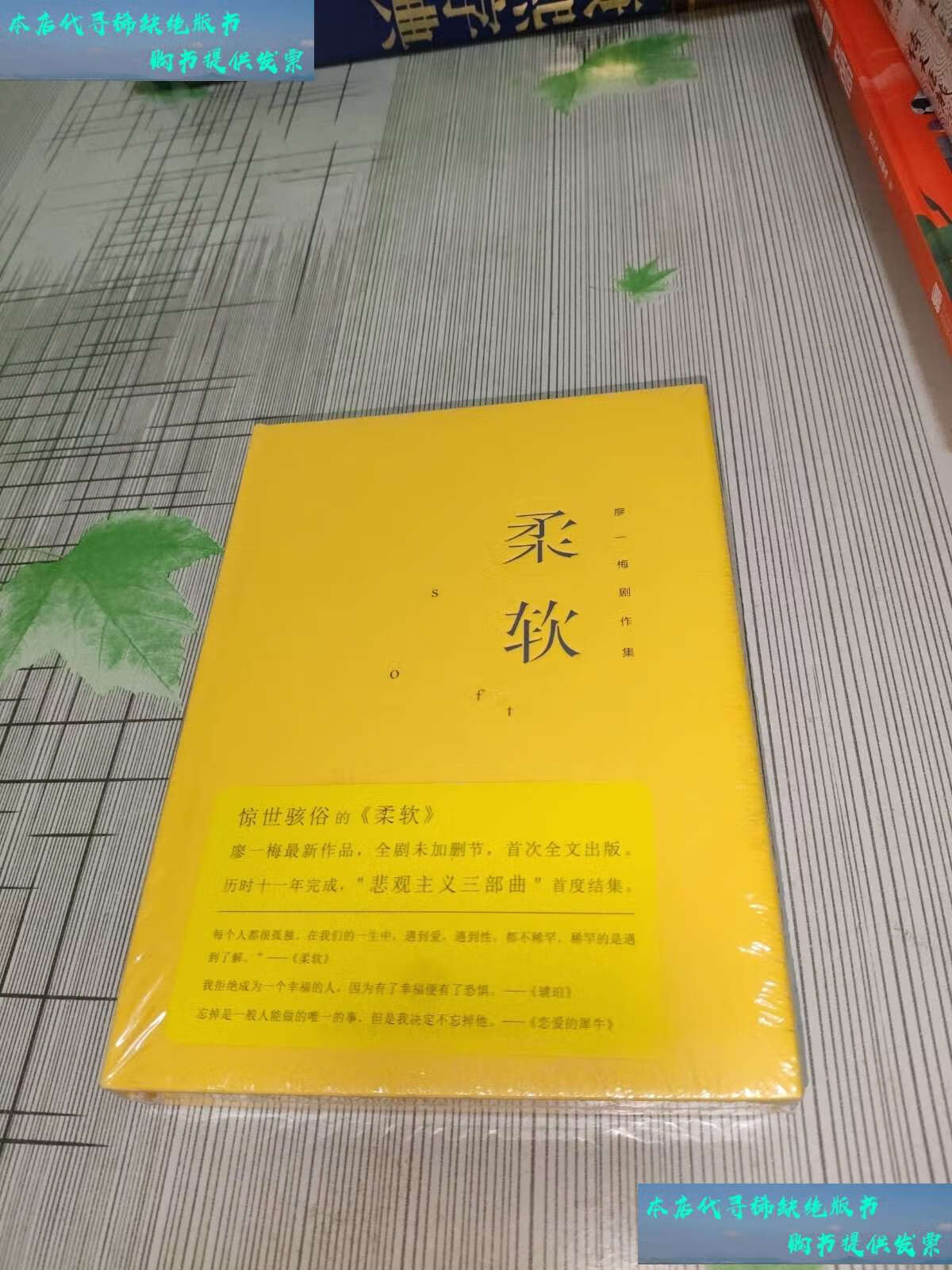 【二手书9成新】柔软() /廖一梅 中信