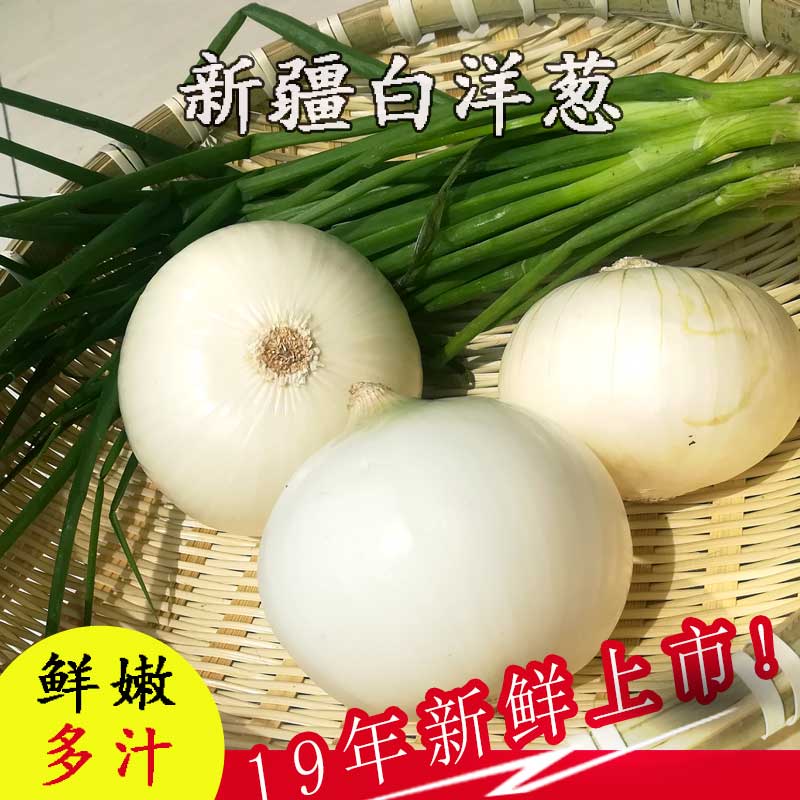 新疆白皮牙子白洋葱凉拌菜新鲜蔬菜生吃航空 1000g