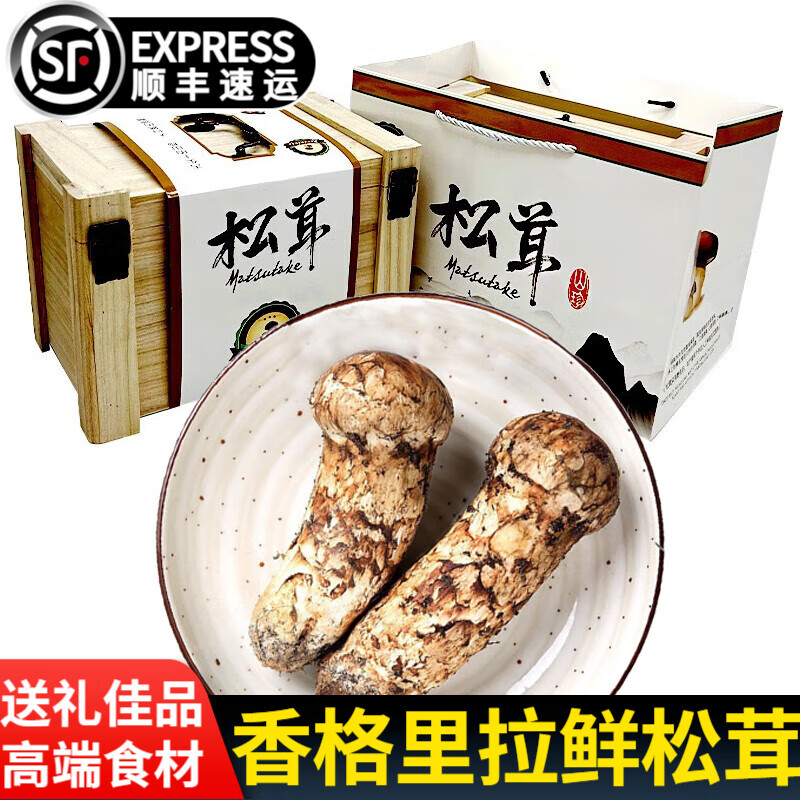 星云湖【顺丰现货】香格里拉新鲜松茸礼盒装云南野生菌家宴送礼松茸刺身 7-9cm 1000g