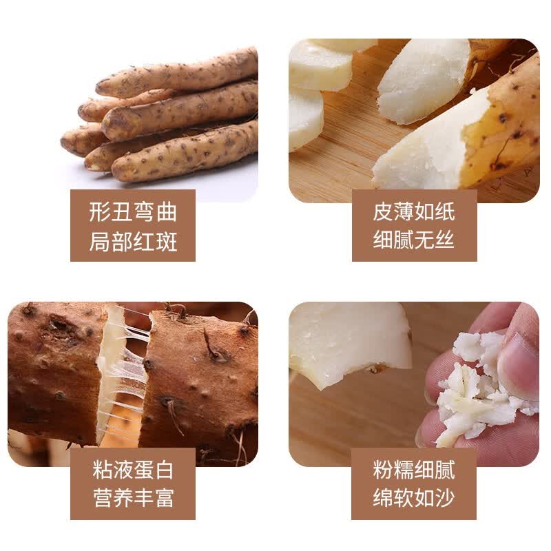 京蚨鲜温县垆土铁棍山药淮山药铁杆山药新鲜现挖蔬菜生鲜 净重5斤甄选【50-60mm】
