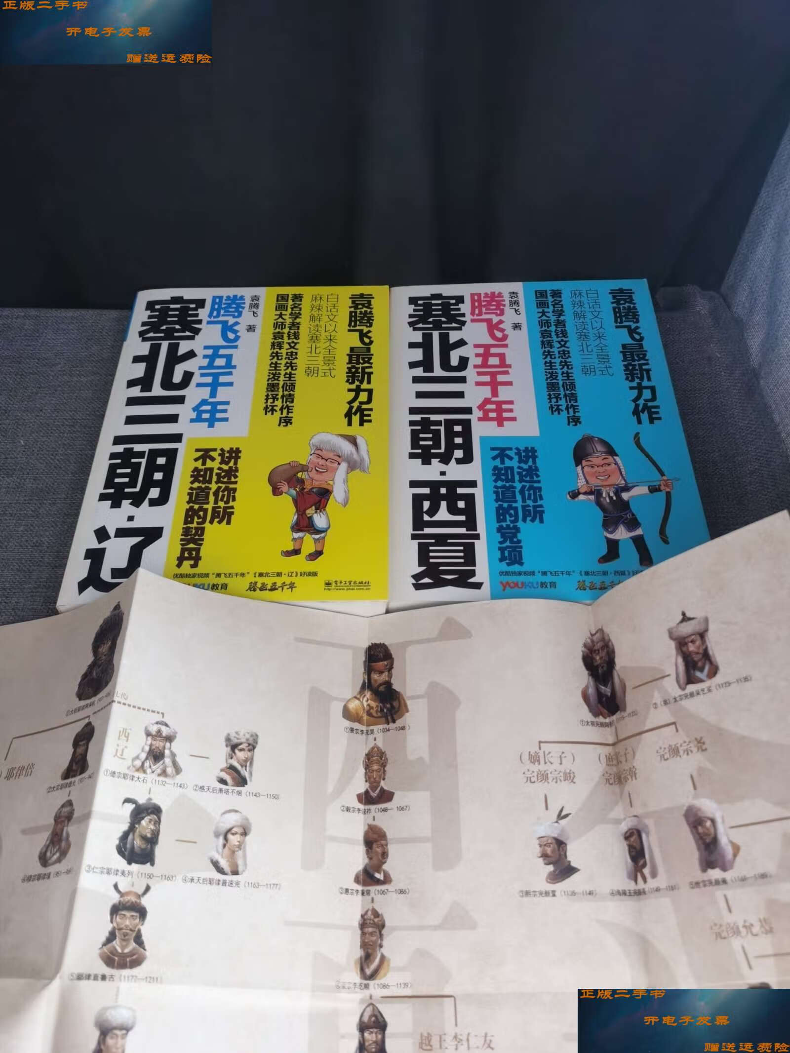 【二手9成新】塞北三朝·西夏 辽【2册合售】 /袁腾飞 电子工业