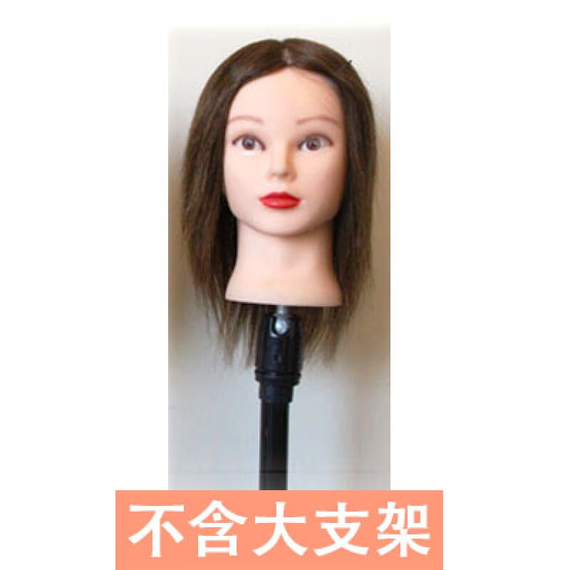 京噶頭模假發(fā)練習(xí)頭頭模真發(fā) 真 學(xué)徒美發(fā)頭模真發(fā)頭模型假人頭練習(xí)假 長發(fā) 10淺棕色