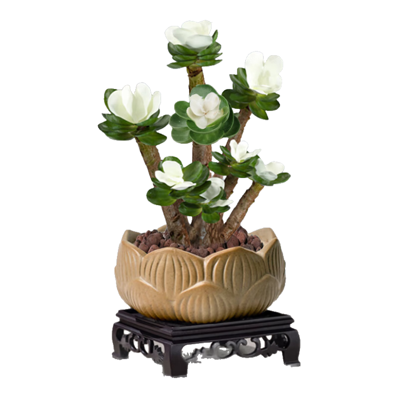 ���Ž�Ǯľ������׮������ֲ��칫����������������+����Դͷֱ��  123.12Ԫ��3��(��41.04Ԫ/��)