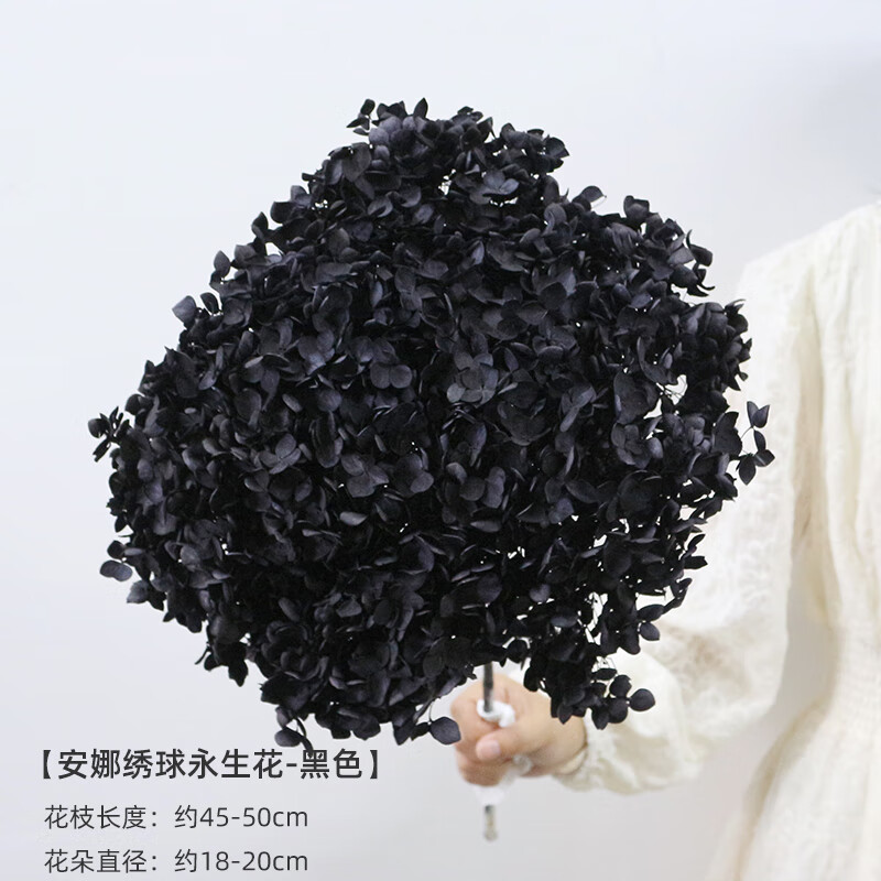 永生绣球花手工 天然植物干花小叶安娜绣球永生花家居客厅装饰插 黑色
