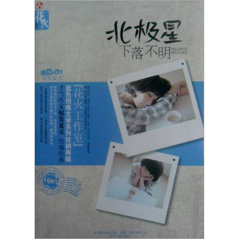 【正版精选】北极星下落不明9787531335610