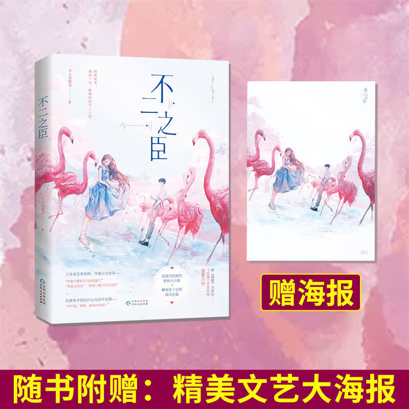 不二之臣2完结篇精美海报不止是颗菜飞言情霸道总裁言情小说 上册印特
