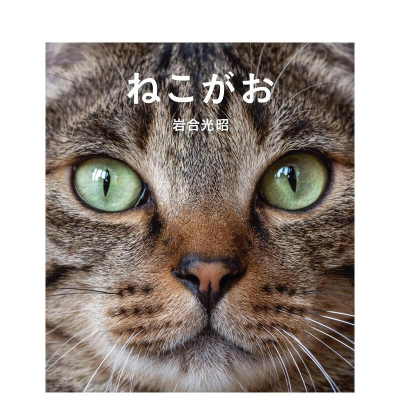 【预售】猫脸 岩合光昭写真集 ねこがお 原版日文摄影作品集